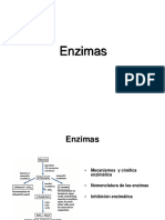 Enzimas - Cinética y Clasificación-BG I 2020