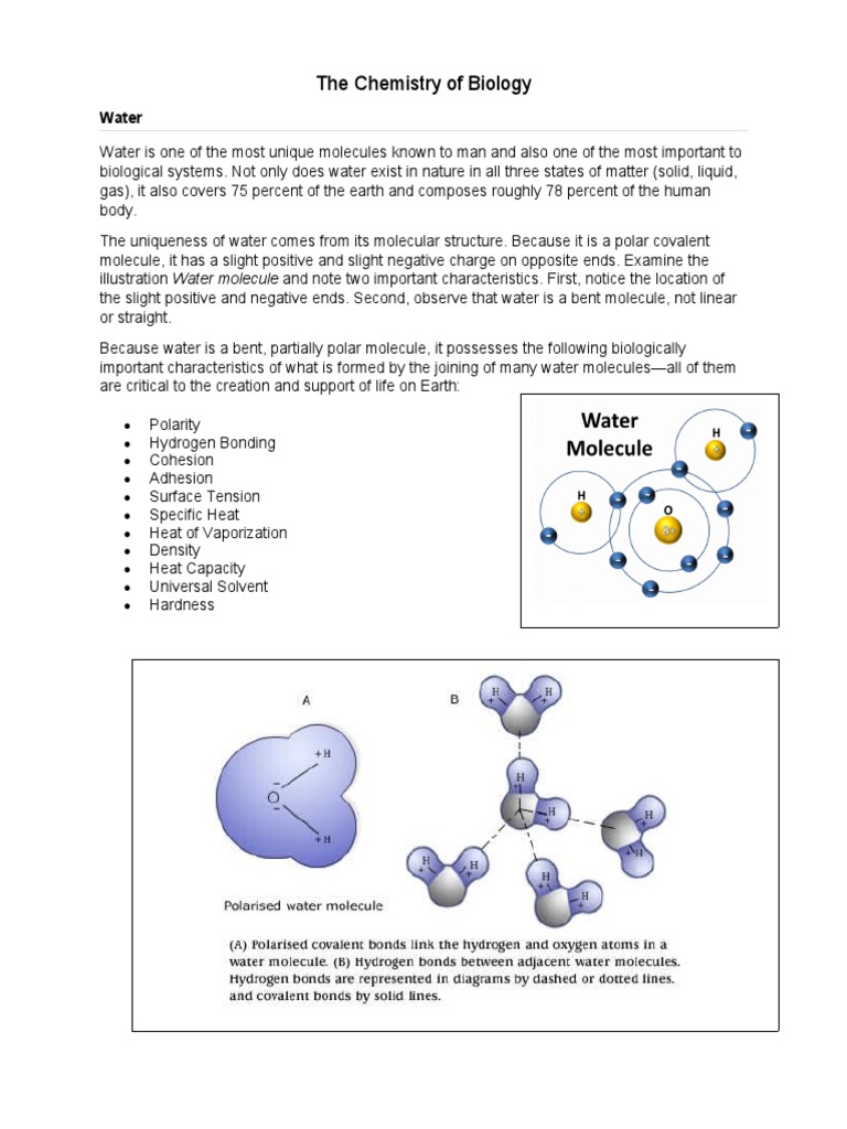 Biochemistry Water PDF