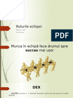 Rolurile Echipei