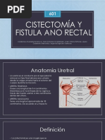 Resectoscopia en Histeroscopia: Usos y Ventajas | PDF | Ablación | Medicina