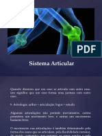 Sistema Articular