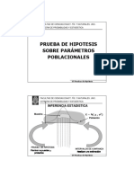 Prueba de Hipotesis Sobre Parametros Industrial 2010