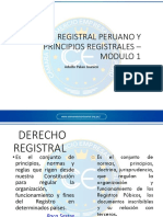 Modulo 1 SISTEMA REGISTRAL PERUANO