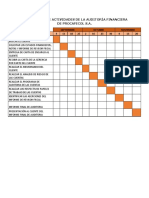Cronograma de Actividades de La Auditoria Financiera de Procafecol S.A