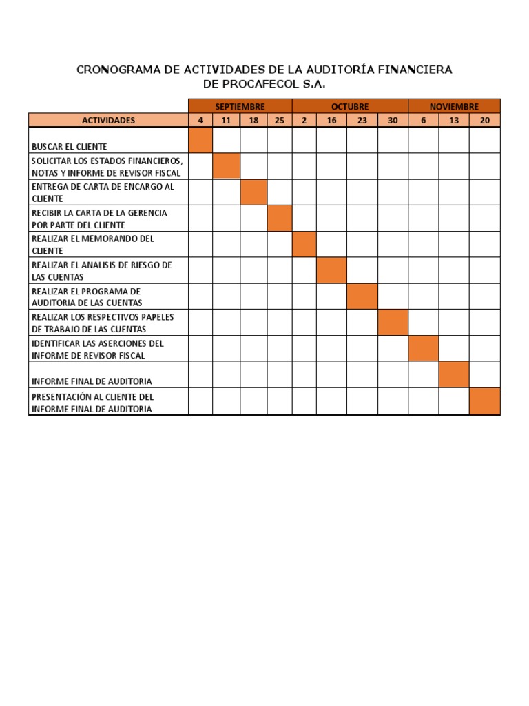 Cronograma de Actividades de La Auditoria Financiera de Procafecol S.A