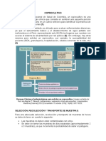 Informe Examen de Heces