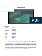 Peranan Euglena Viridis