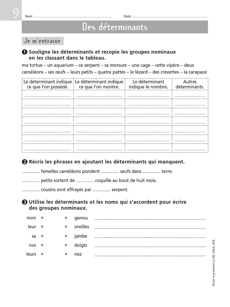 Exercice Sur Les Déterminants Cm2 Exercices Des Determinants PDF | PDF | Organismes | La nature