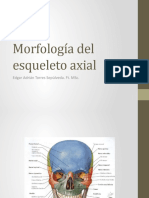 Morfología Del Esqueleto Axial