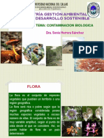 06-Contaminacion de La Flora y Fauna-2016 PDF