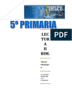 LECTURA II BIM.doc