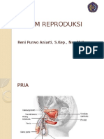 SISTEM REPRODUKSI.pptx