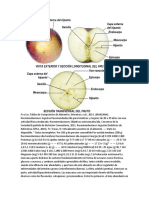 FR U Ta S Tablas de Composición de Alimentos