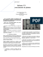 Informe 1