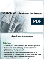 Genetica Bacteriana