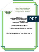 Informe de prácticas profesionales en educación primaria