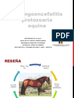 Meningoencefalitis equina protozoaria