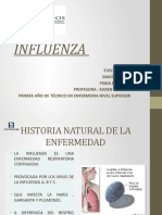 Influenza: historia natural, etiología, diagnóstico y prevención