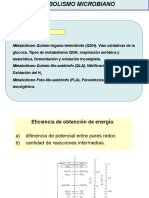 2-metabolismo.pptx