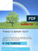 REPORT TEXT ABOUT RAINBOW