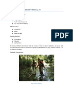 03. Muestreo Fauna - Peces continentales NOTAS.pdf