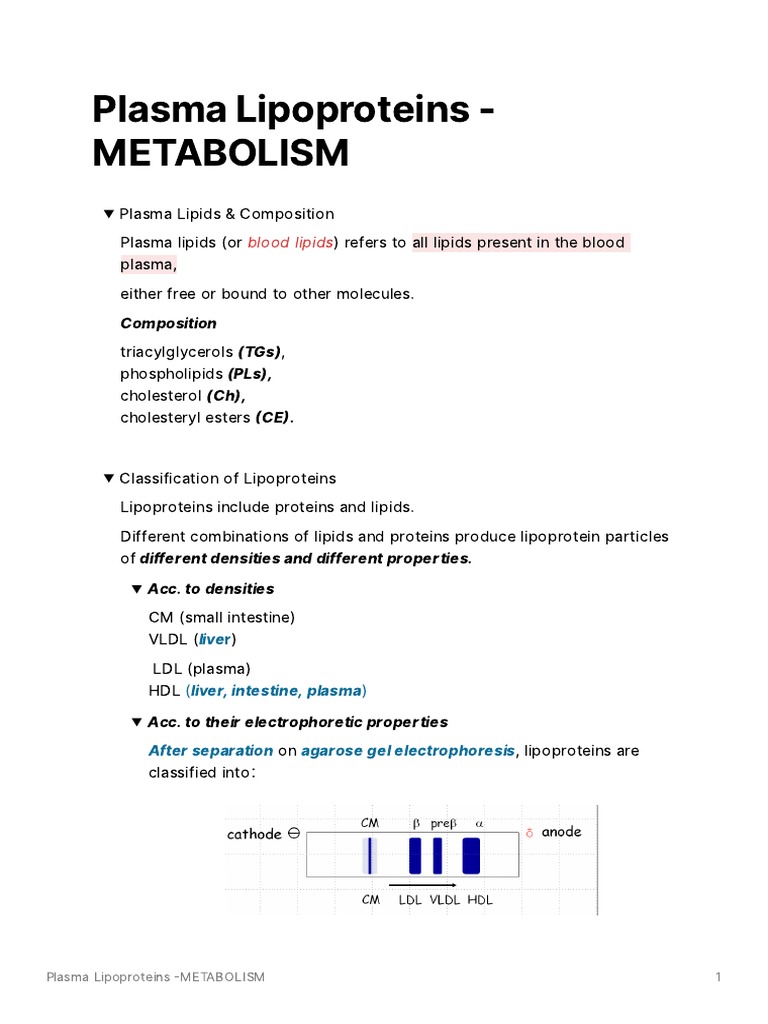 Lipoprotein Metabolism Overview | PDF | Lipoprotein | High Density ...