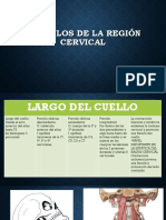 Músculos de La Región Cervical PDF