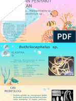 Bothriocephalus SP., Diphyllobotrium SP., Dan Marsipometra SP