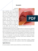 Patologías Sarampión y Rubeola