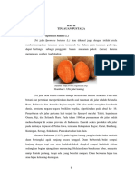 Bab Ii PDF