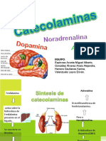 Diapositivas de Catecolaminas