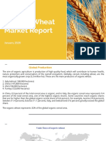 Organic Wheat Market Report 2020