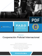 Cooperacion Policial Internacional PROGRAMA
