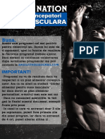 PROGRAM MASA Musculara PDF