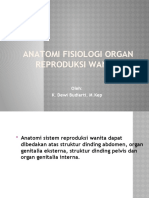 Anatomi Fisiologi Organ Reproduksi Wanita-3