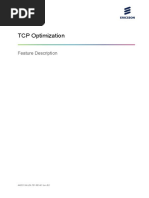 L17.Q2.5 - TCP - Optimization - Feature Description