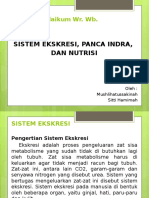 Sistem Ekskresi, Panca Indra Dan Nutrisi
