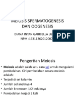 Meiosis Spermatogenesis Dan Oogenesis