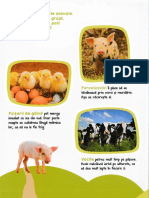 Bebe Invata. Marea Carte Despre Animale. 50 de Sunete de Animale PDF