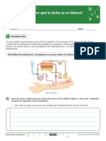 Por Que La Leche Es Blanca PDF