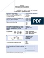 Evaluacion Formativa I