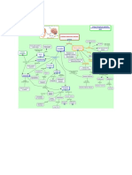 sistema nervioso mapa mental.docx