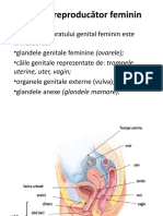 Sistemul Reproducător Feminin