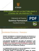 EVALUACION DE LA FACTIBILIDAD II - ETAPAS DE UN PROYECTO