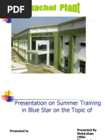 Project Report On Financial Position of Blue Star ,,,,by... Mohd - Alam (MBA) Chandigarh