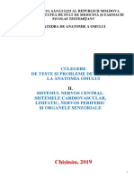 CUL. - TESTE - MD - Sem. II, 2019 PDF