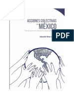 ACCIONES_COLECTIVAS_EN_MEXICO_Una_puerta