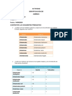 TRABAJO DE IDENTIFICACIÓN - KNenger