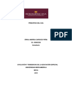 1principios Del Dua PDF