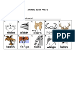 Animal Body Parts Flashcards Fun Activities Games Picture Dictionari 23608